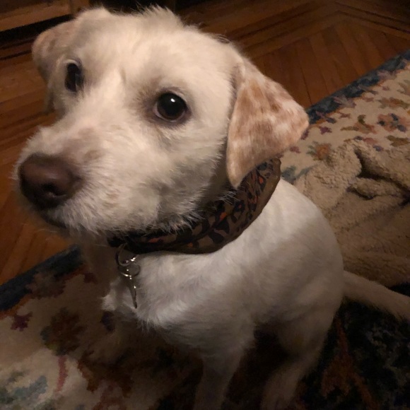 Hello, it’s me *Adele singing* - Picture 2 of 3